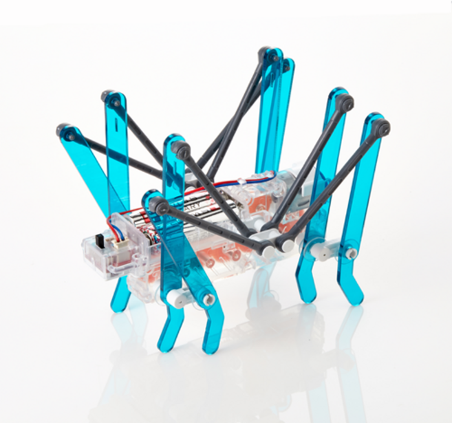 로키(귀뚜라미 로봇), 1개