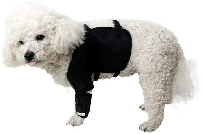 강아지슬개골보호대 무릎보호대 반려견 고정 소형 뒷다리 팻, K020 블랙 [왼쪽 앞다리 단품], S - 소형, 1L, 1