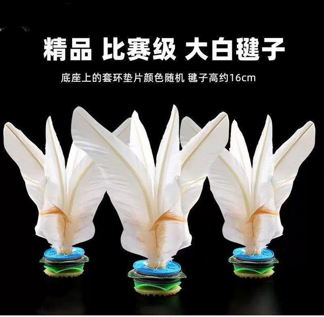 新翎牌 比賽級 鵝毛大白毽子, 1個, 1個裝,比賽級鵝毛大白毽子16cm