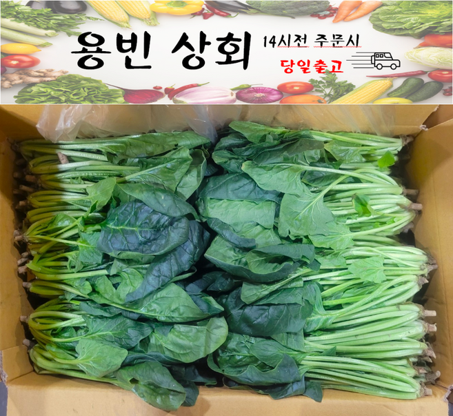 ( 용빈 상회 ) 국내산 시금치 1kg 2kg 4kg 내외, 1박스