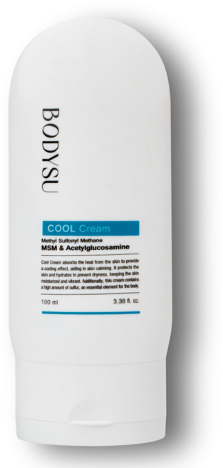 바디슈 식이 유황 크림 MSM, 튜브(쿨), 1개, 100ml