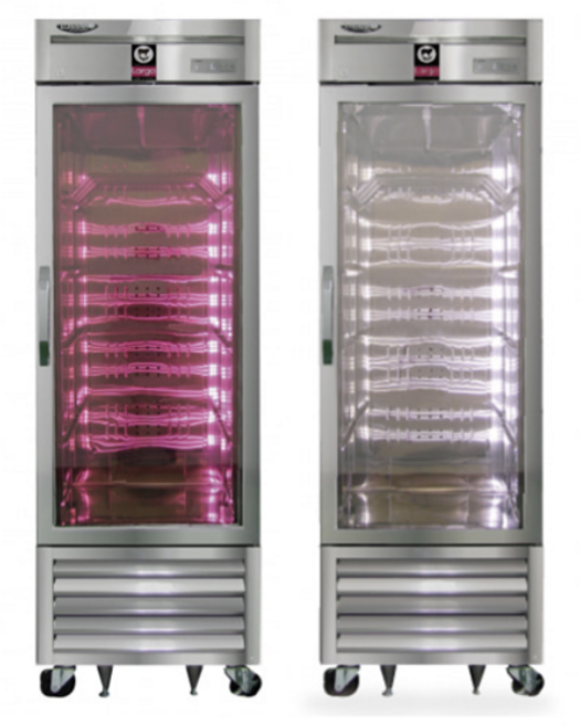 라셀르 간냉식 프리미엄 고기 숙성고 LMP-611DAP, 백색