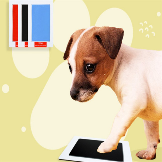 완자스토어 강아지 발도장 강아지추억, 빨