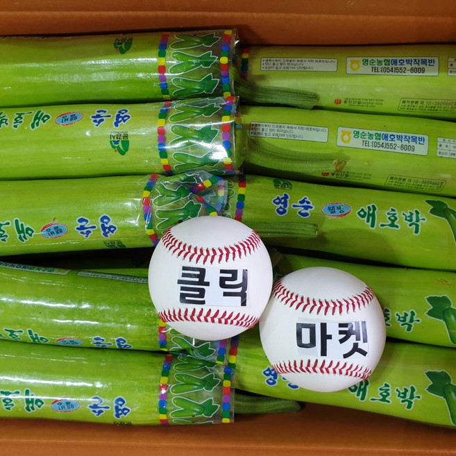 클릭마켓 애호박 국내산, 1박스, 250g