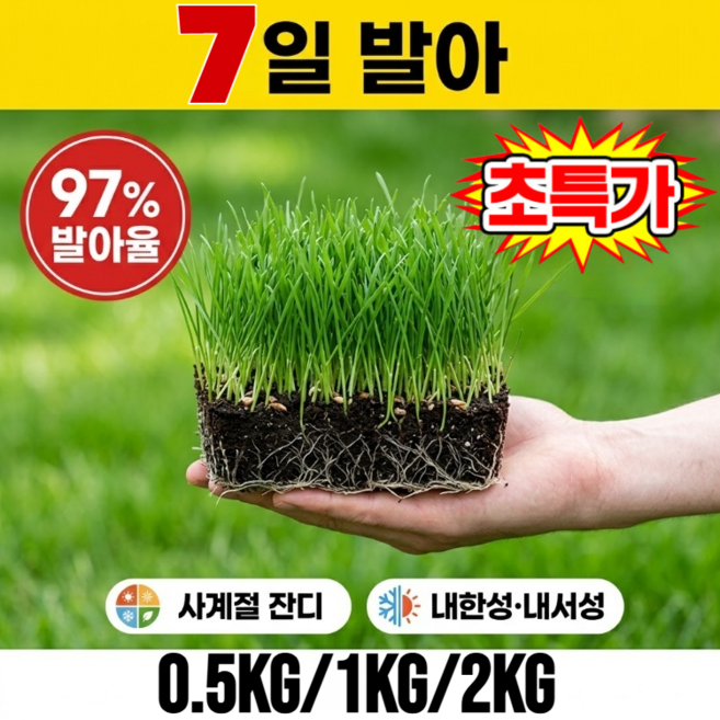 7일 발아 잔디 씨앗 정원잔디 씨앗 잔디 씨앗 내한성/내서성, 0.5kg