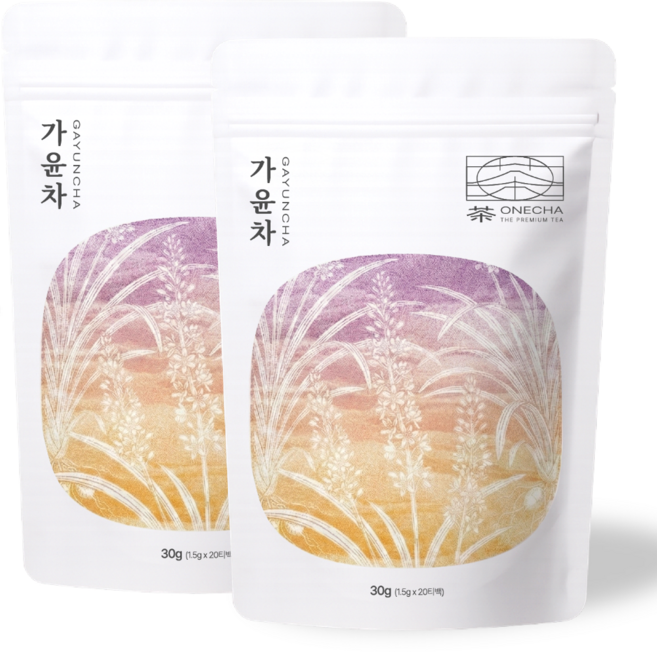 원차 도라지 맥문동차 가윤차 생맥산 도라지 황기, 2개, 20개입, 1.5g