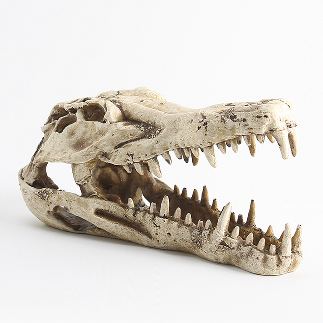 악어 두개골 장식 해골 은신처 도마뱀 게코 파충류 사육장 테라리움 장식품, 1개, 본