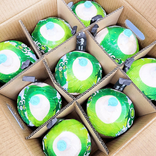 베트남 영 코코넛, 1kg, 2개