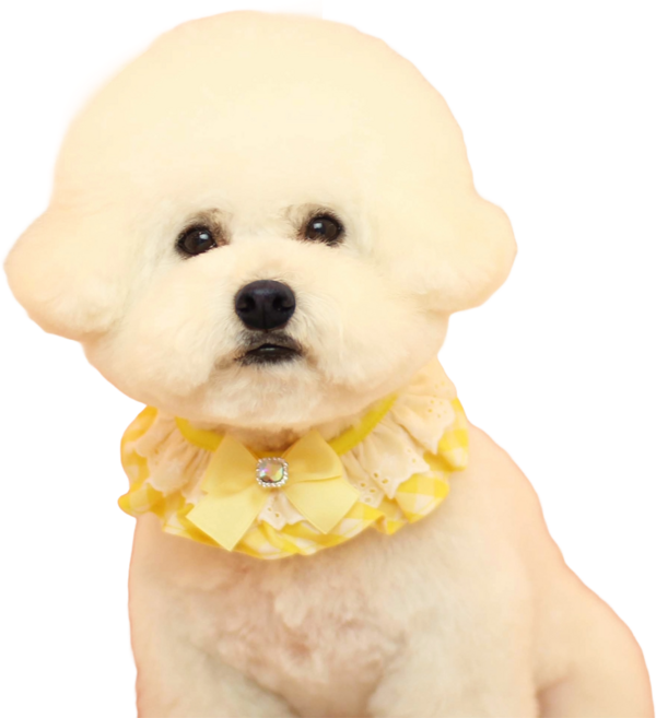 하니펫 반려동물 귀요미스카프 큐티체크프릴, 노랑, 1개