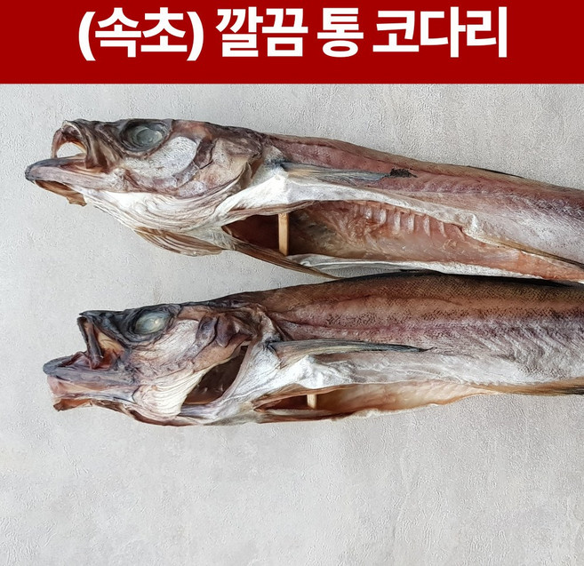 속초 깔끔 반건조 통 명태 코다리 진공포장 반건조, 5개, 특대(45cm)