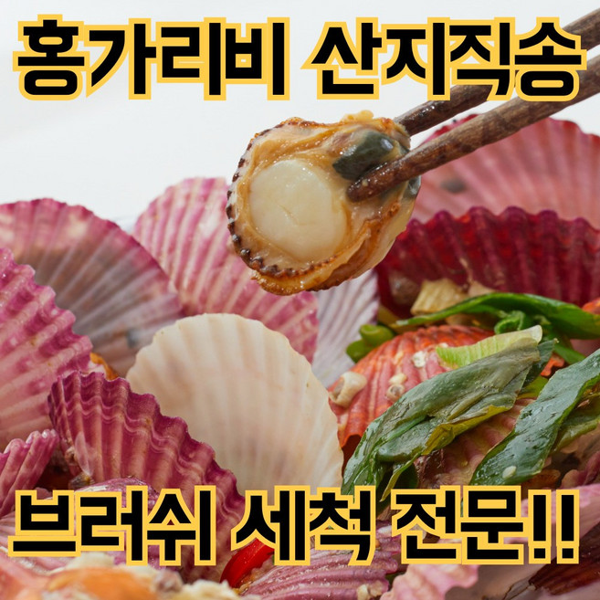 [초초특가] 통영 홍가리비 세척 가리비, 1박스, 5kg