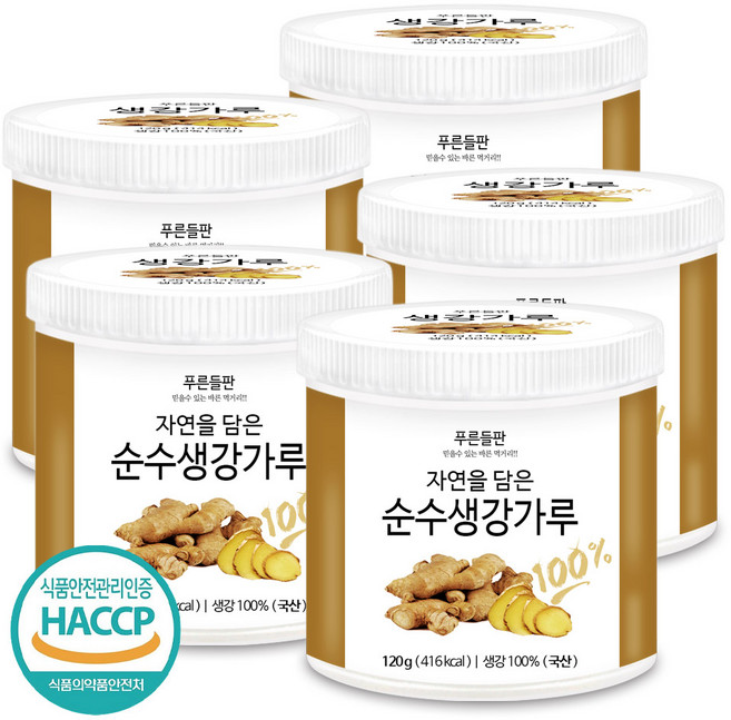 푸른들판 국산 생강 가루 분말 100% HACCP 인증 생강차 진저 파우더 조미료 향신료, 120g, 1개입, 5개
