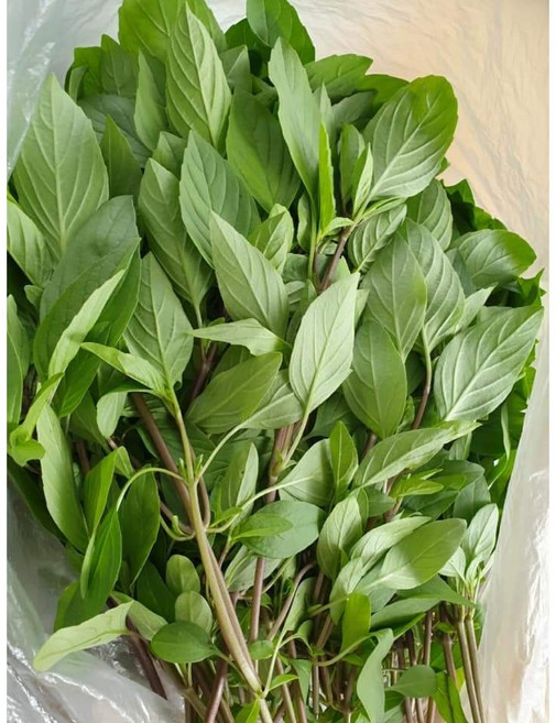 훌라파 ( hung que) /타이바질100g/아시아 농장 송소희, 1개
