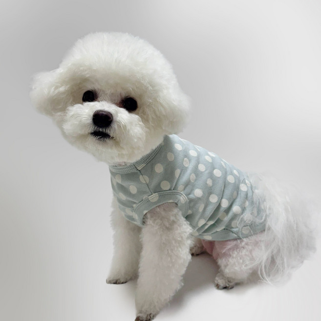 스타일독 코코 도트 골지 나시 강아지옷, 1개, 연민트