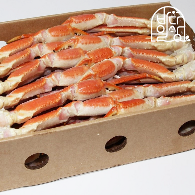 바다일상 러시아 마가단 스노우크랩 5KG L 2L 3L 4L 대게 2025년 신물 배달 자숙 급냉 고급선물, 1박스, 3L 5KG