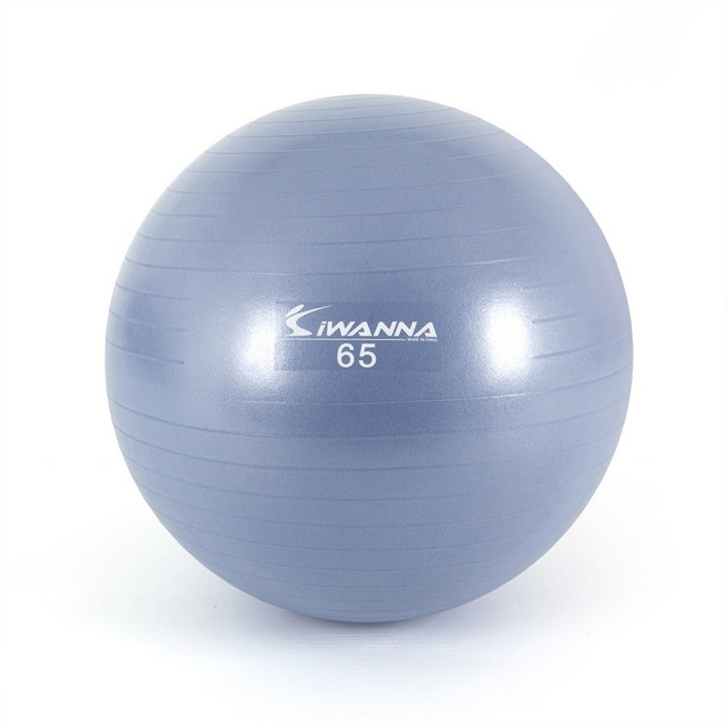 아이워너 안티버스트 마사지 짐볼, 라벤더