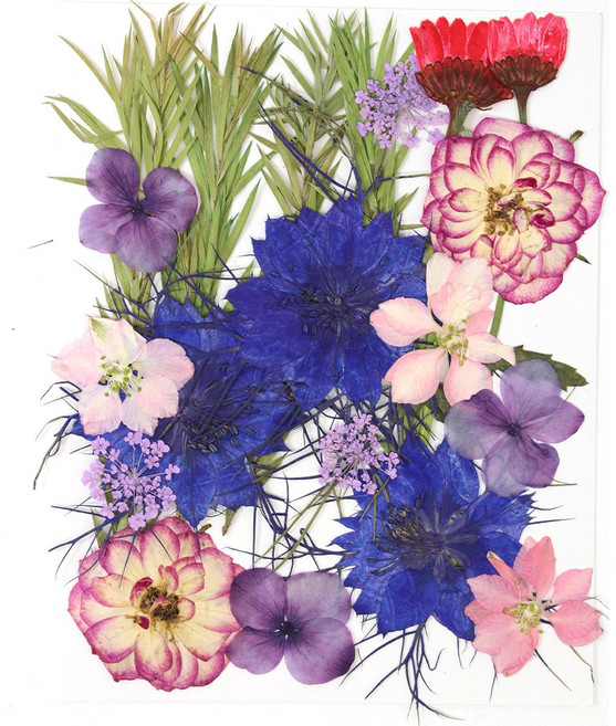 한현 DIY 대용량 압화 책갈피 만들기 종합팩 꽃모음 1장 20꽃, 1세트, HX07