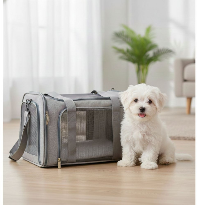 피디노스 강아지 고양이 가방, 1개, 회색