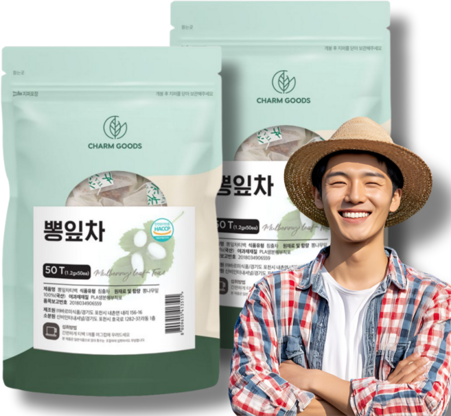 국산 뽕잎차 티백 50입 2팩 총 100입 HACCP 식약처인정, 1.2g, 2세트