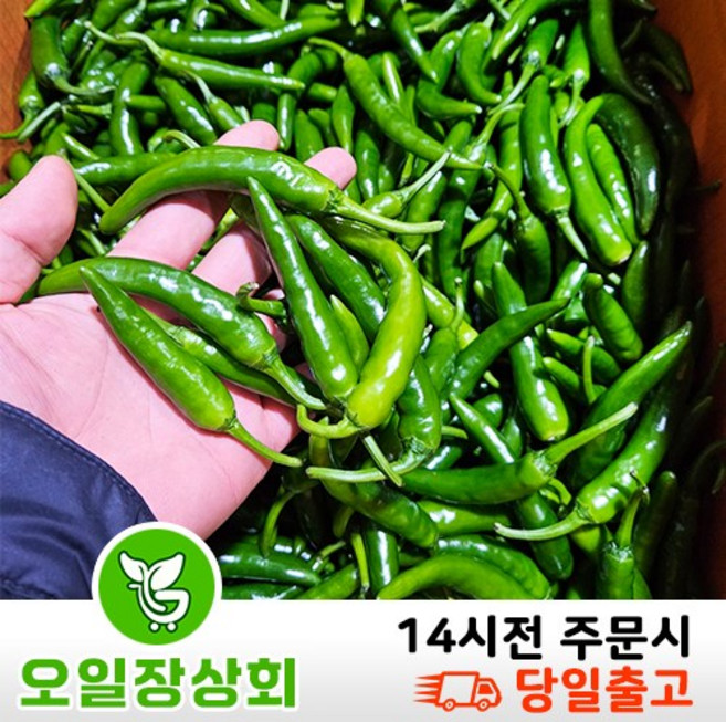 < 오일장상회 > 국내산 청양고추 매운고추 못난이고추 땡초 500g 1kg 2kg 5kg, 1개, 2kg내외