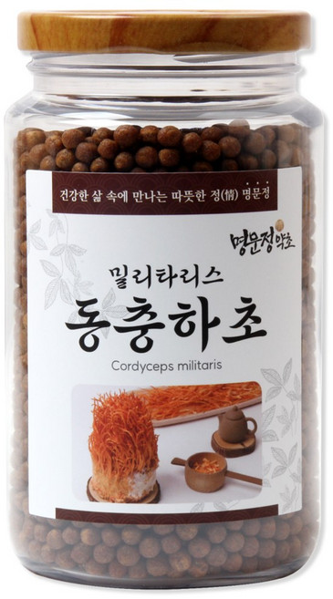 명문정약초 밀리타리스 동충하초환 국산, 1개, 300g