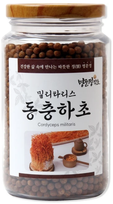 명문정약초 밀리타리스 동충하초환 국산, 1개, 300g - 쿠팡
