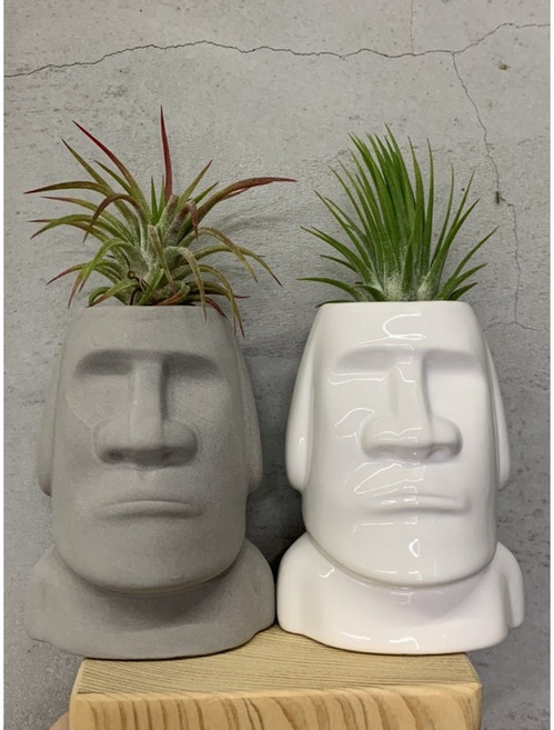 空氣鳳梨 摩艾石像 （附樹皮） 盆器 療癒植物 居家佈置 艾摩 空鳳架, 白灰色, 1個