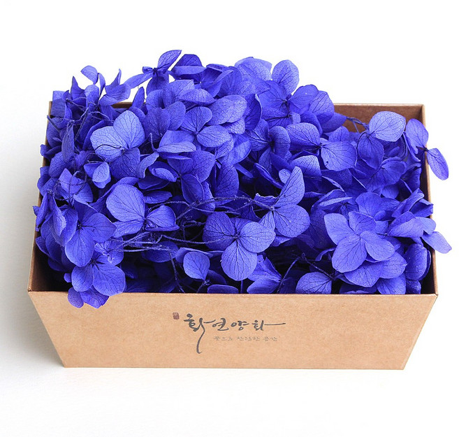 화연양화 프리저브드플라워 블루밍 케이스 수국 30색, 15 퍼플