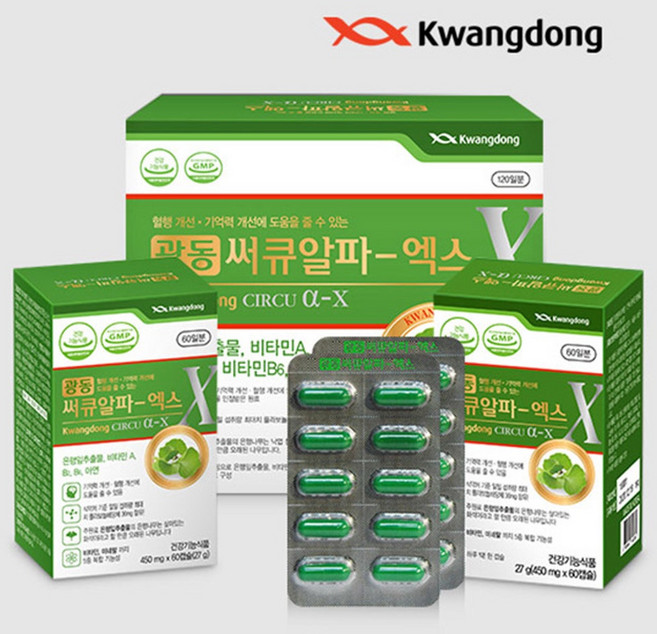 광동 써큐알파-엑스 4개월분 은행잎 추출물, 120정, 1개