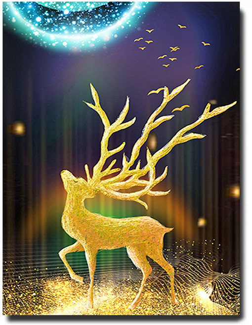 화야루이 액자 보석십자수 캔버스형 DIY 키트 40 x 50 cm, 1세트