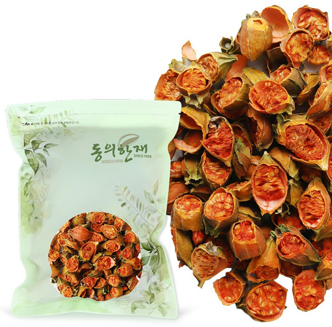 동의한재 중국산 치자 열매, 600g, 1개