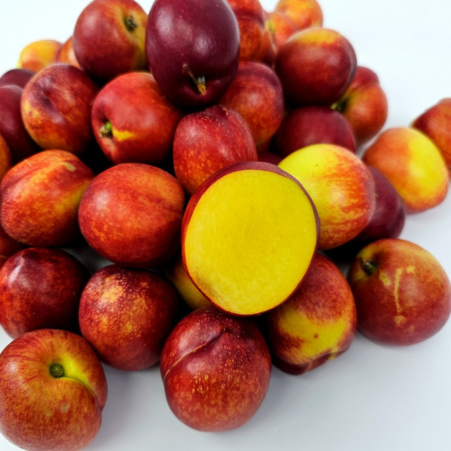 [가을 복숭아] 일등농수산 정품 고당도 천도복숭아, 1개, 2kg 대과