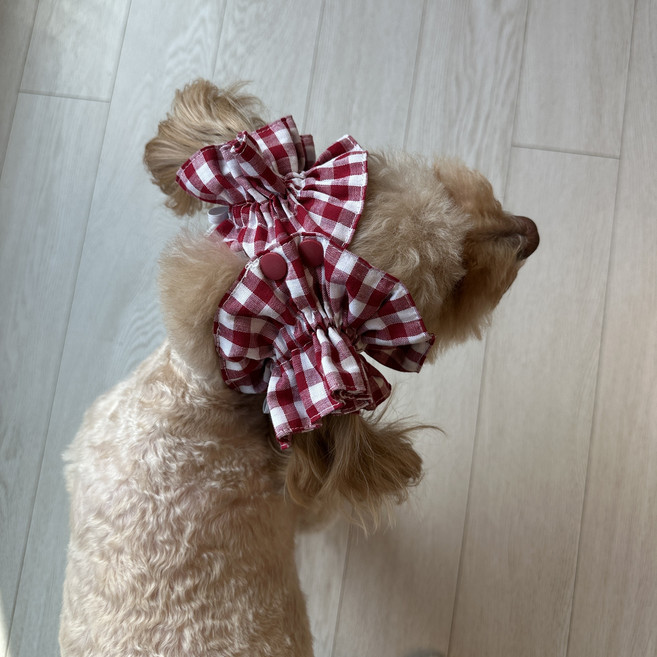 스카이몰 강아지 이어슈슈, 1개, 체크레드