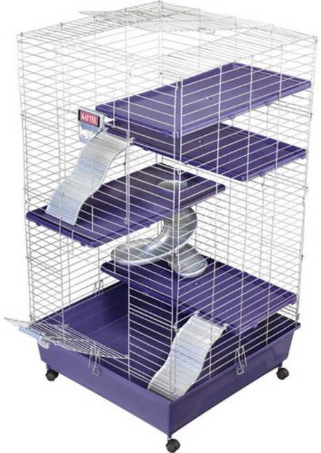 케이티 24X24 멀티레벨 페럿 홈, 1개