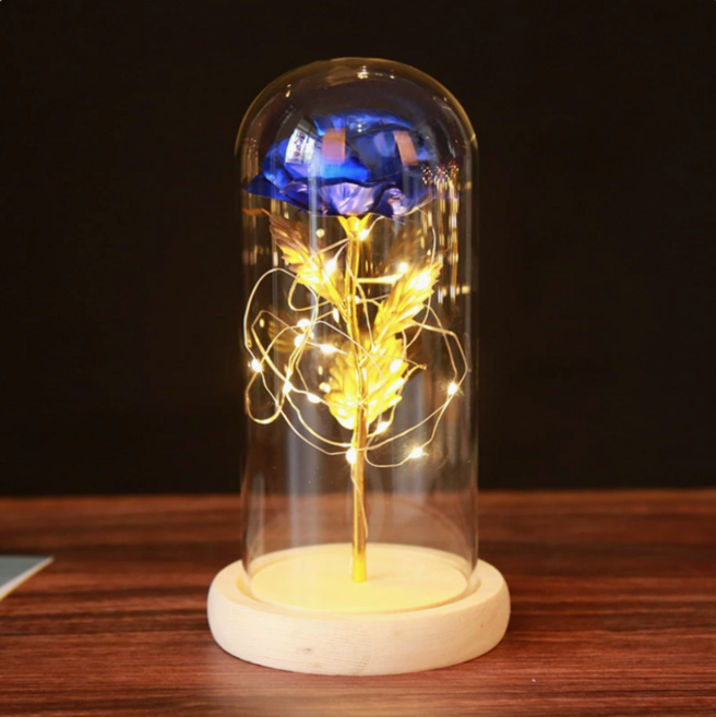 라비앙 로즈 유리돔 황금빛장미 영원한 사랑의 선물, 블루장미꽃