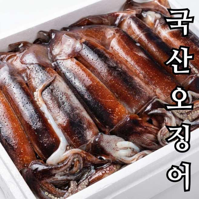 선동 급냉 국산 오징어 초코오징어 kg당 2-5 통찜용 통오징어, 1개, 1kg
