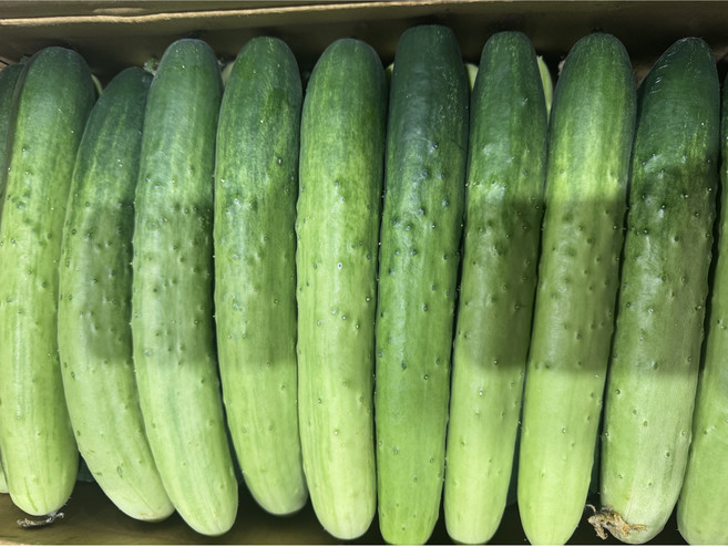 국내산 백다다기오이 특품 아삭한 백오이 산지직송, 1박스, 5kg (22개 내외)