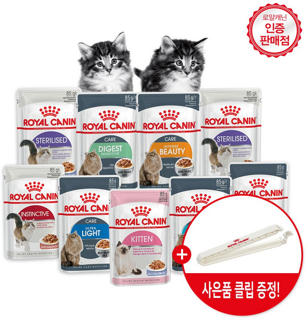 로얄캐닌 고양이파우치 습식 85G +사은품 파우치클립증정 면역력강화도움 체중관리, 85G X 12개, 에이징12+ 젤리