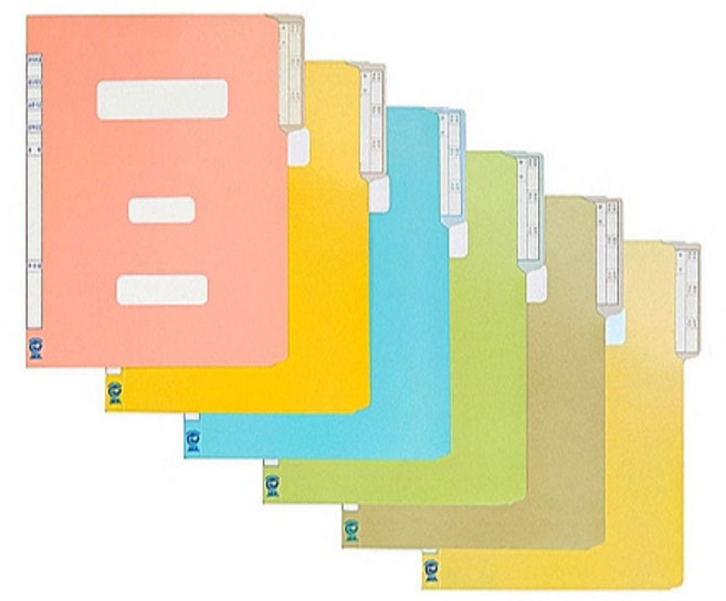 컬러 정부화일 a4 10개입 파일철 서류파일 pp정부화일 서류철 정부화일철, 미색/FREE, 미색
