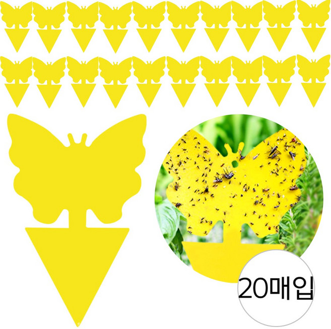 우아한클릭 날파리 퇴치 끈끈이 트랩, 1개, 20개입