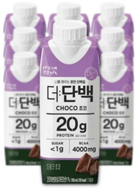 빙그레 빙그레 더단백 드링크 초코250ml 우유단백질20g 함유 저지방 단백질음료 250ml 10개, 250ml