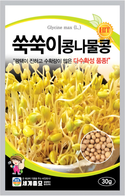 [주주씨앗] 콩나물콩 씨앗 30g 다수확 가정재배 쑥쑥이 콩나물 봄 파종 채소씨앗 씨앗몰, 1개