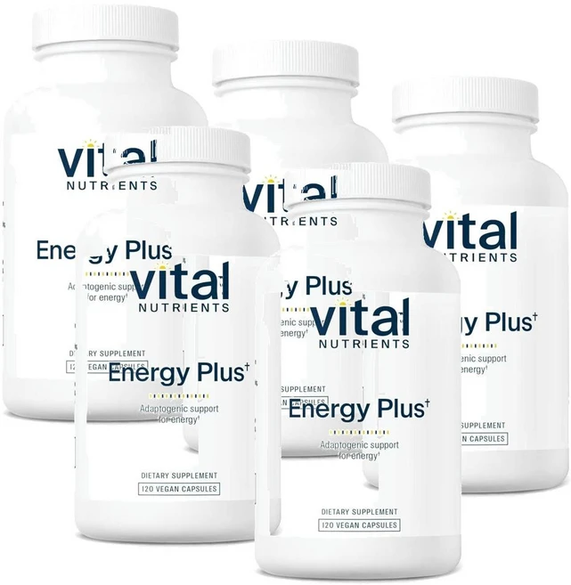 바이탈 뉴트리언츠 에너지 플러스 인삼 황기 Vital Nutrients Energy Plus Gingeng, 120정, 5개 - 쿠팡