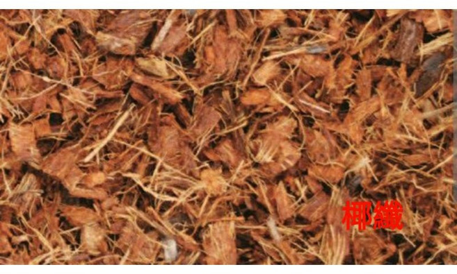 夢不落 椰纖, 椰纖,3 公升(非公斤)