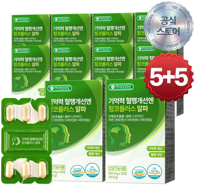 징코 플러스 은행잎 추출물 식약청인증 기억력 혈행 개선 메이제이, 10박스, 30정