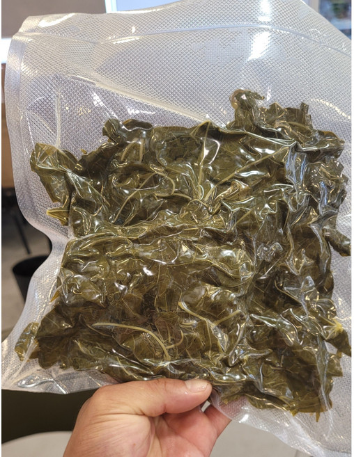 Daun singkong 500g casava leaf 다운싱콩 카사바잎, 1개