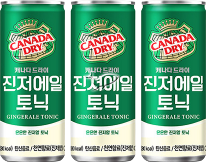 캐나다드라이 진저에일 250ml, 20개