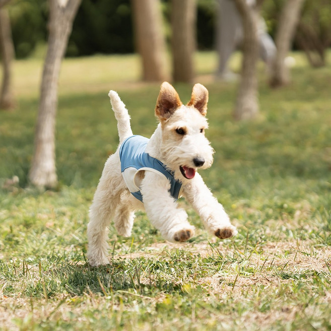 [PAWNEXTDOOR] 허니콤 쿨링 베스트 강아지 냉감 조끼 자외선차단 아이스실크, 1개, 블루