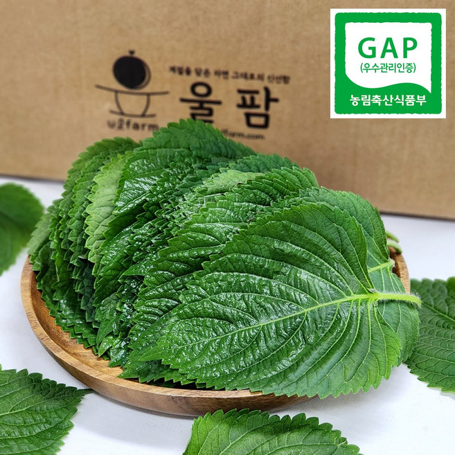 국내산 울팜 GAP 깻잎 찹찹이깻잎 쌈채소, 1개, 1kg