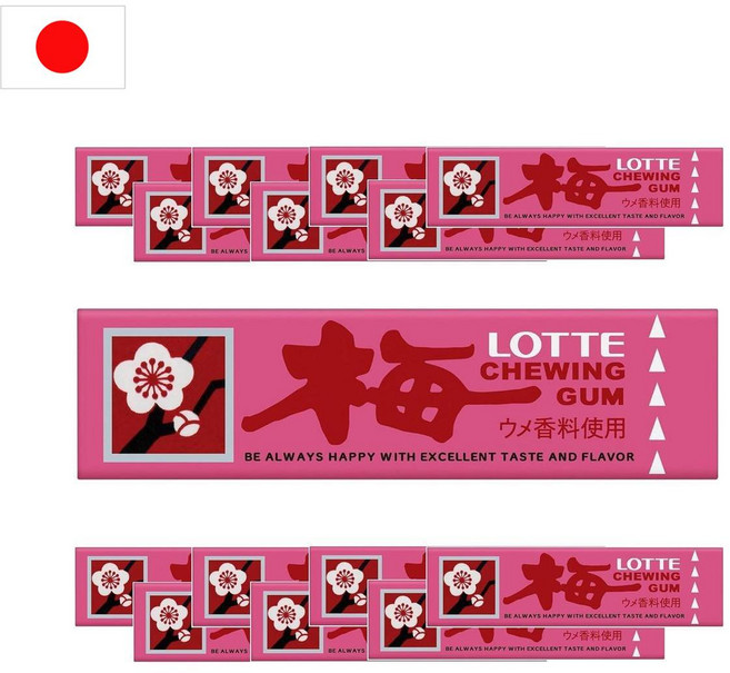 일본 롯데 치아에 잘 붙지 않는 틀니 껌 매화 460g 9입 15개